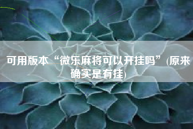 可用版本“微乐麻将可以开挂吗”(原来确实是有挂)