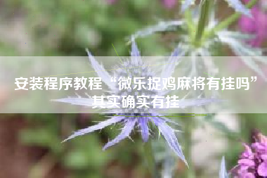 安装程序教程“微乐捉鸡麻将有挂吗”其实确实有挂