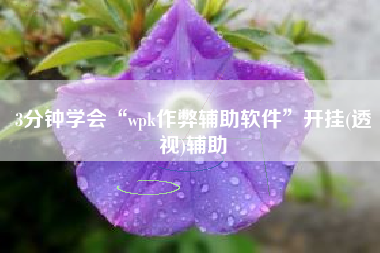 3分钟学会“wpk作弊辅助软件	”开挂(透视)辅助