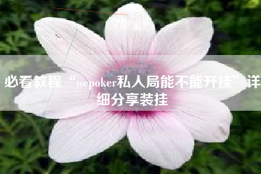 必看教程“wepoker私人局能不能开挂”详细分享装挂