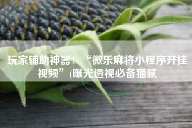 玩家辅助神器：“微乐麻将小程序开挂视频”(曝光透视必备猫腻