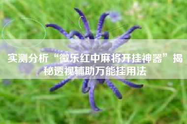 实测分析“微乐红中麻将开挂神器	”揭秘透视辅助万能挂用法