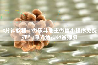 3分钟教程“微乐斗地主微信小程序免费挂”(曝光透视必备猫腻