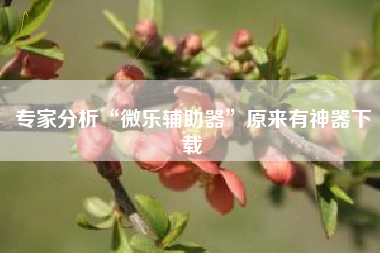 专家分析“微乐辅助器	”原来有神器下载