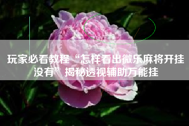 玩家必看教程“怎样看出微乐麻将开挂没有”揭秘透视辅助万能挂