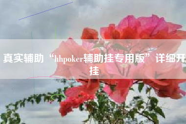真实辅助“hhpoker辅助挂专用版”详细开挂