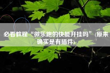 必看教程“微乐跑的快能开挂吗	”(原来确实是有插件)