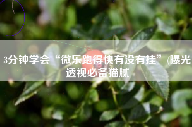 3分钟学会“微乐跑得快有没有挂”(曝光透视必备猫腻
