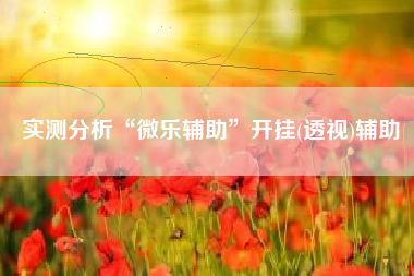 实测分析“微乐辅助”开挂(透视)辅助