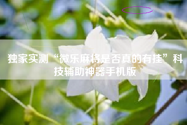 独家实测“微乐麻将是否真的有挂	”科技辅助神器手机版