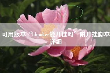 可用版本“hhpoker能开挂吗”附开挂脚本详细