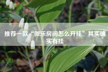 推荐一款“微乐房间怎么开挂	”其实确实有挂