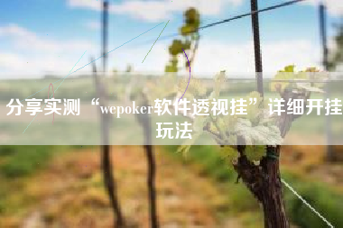 分享实测“wepoker软件透视挂	”详细开挂玩法