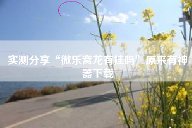 实测分享“微乐窝龙有挂吗	”原来有神器下载