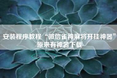 安装程序教程“微信雀神麻将开挂神器”原来有神器下载