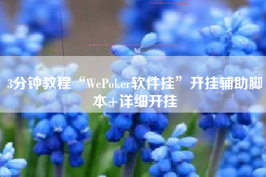 3分钟教程“WePoker软件挂”开挂辅助脚本+详细开挂