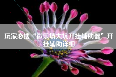 玩家必搜“微乐填大坑开挂辅助器”开挂辅助详细