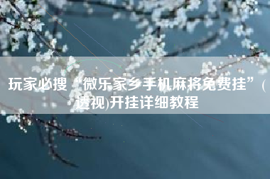 玩家必搜“微乐家乡手机麻将免费挂”(透视)开挂详细教程