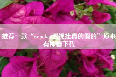 推荐一款“wepoker透视挂真的假的”原来有神器下载