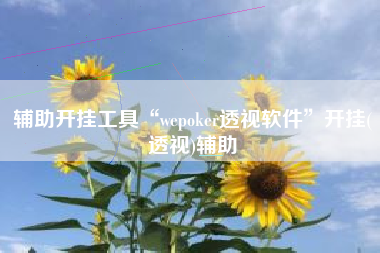 辅助开挂工具“wepoker透视软件”开挂(透视)辅助