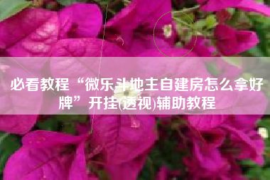 必看教程“微乐斗地主自建房怎么拿好牌”开挂(透视)辅助教程