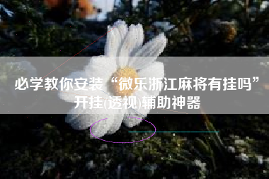 必学教你安装“微乐浙江麻将有挂吗”开挂(透视)辅助神器
