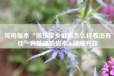可用版本“微乐家乡麻将怎么样看出有挂”开挂辅助脚本+详细开挂