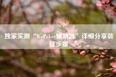 独家实测“WePoker辅助器”详细分享装挂步骤