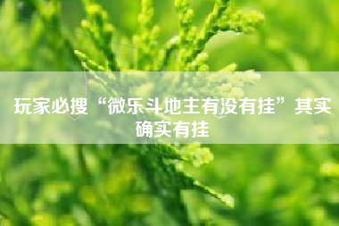 玩家必搜“微乐斗地主有没有挂	”其实确实有挂