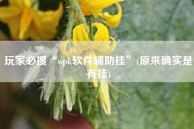 玩家必搜“wpk软件辅助挂”(原来确实是有挂)