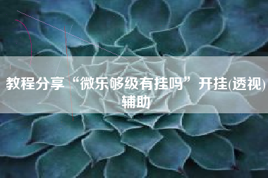 教程分享“微乐够级有挂吗	”开挂(透视)辅助