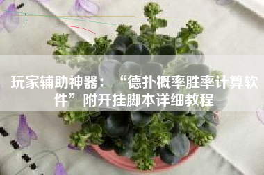玩家辅助神器：“德扑概率胜率计算软件”附开挂脚本详细教程