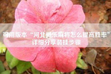 可用版本“河北微乐麻将怎么提高胜率	”详细分享装挂步骤