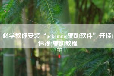 必学教你安装“pokemmo辅助软件”开挂(透视)辅助教程