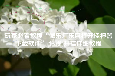 玩家必看教程“微乐广东麻将开挂神器下载软件	”(透视)开挂详细教程