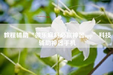 教程辅助“微乐麻将必赢神器app”科技辅助神器手机