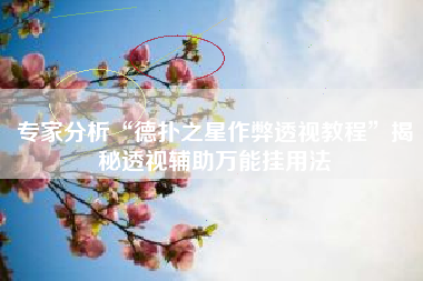 专家分析“德扑之星作弊透视教程”揭秘透视辅助万能挂用法