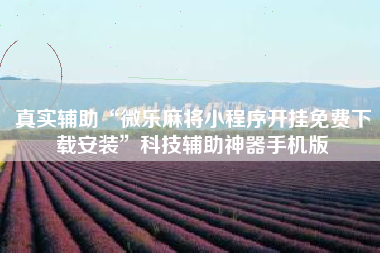 真实辅助“微乐麻将小程序开挂免费下载安装”科技辅助神器手机版