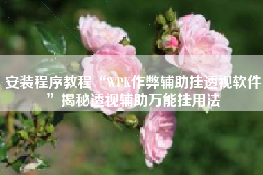 安装程序教程“WPK作弊辅助挂透视软件”揭秘透视辅助万能挂用法
