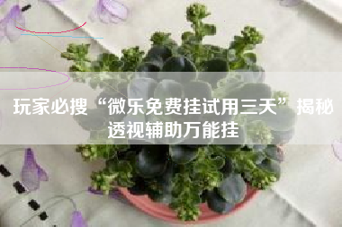 玩家必搜“微乐免费挂试用三天”揭秘透视辅助万能挂