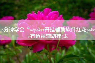 3分钟学会“wepoker开挂辅助软件红龙poker有透视辅助挂(太