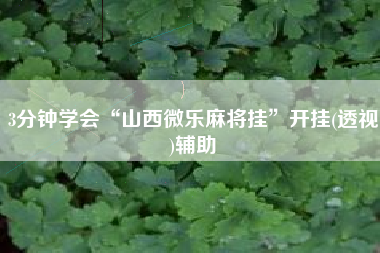 3分钟学会“山西微乐麻将挂”开挂(透视)辅助