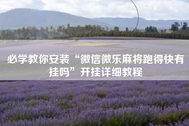 必学教你安装“微信微乐麻将跑得快有挂吗”开挂详细教程