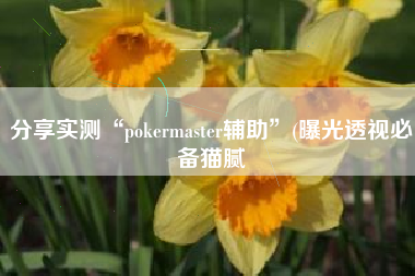 分享实测“pokermaster辅助	”(曝光透视必备猫腻