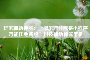 玩家辅助神器：“微乐河北麻将小程序万能挂免费版	”科技辅助神器手机