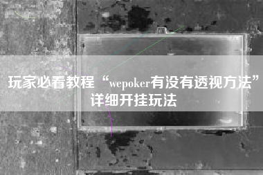 玩家必看教程“wepoker有没有透视方法”详细开挂玩法