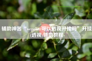 辅助神器“wepoker可以透视开挂吗	”开挂(透视)辅助教程