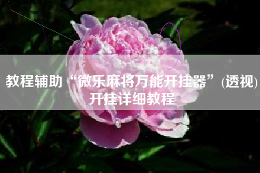 教程辅助“微乐麻将万能开挂器”(透视)开挂详细教程