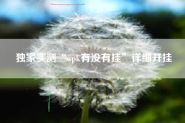 独家实测“wpk有没有挂”详细开挂