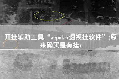开挂辅助工具“wepoker透视挂软件”(原来确实是有挂)